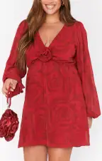 Rosetta Mini Dress ~ Dark Romance(XS)