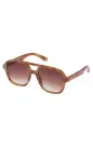 Aire Whirlpool Sunglasses ~ Vintage Tort(OS)