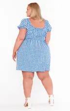 Esme Mini Dress ~ Blue Bounty Gingham(XS)