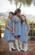 Esme Mini Dress ~ Blue Bounty Gingham(XS)