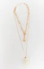 Shell Chain Necklace ~ Gold(OS)