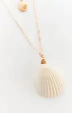 Shell Chain Necklace ~ Gold(OS)
