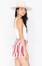 Arizona High Waisted Shorts ~ Candy Stripe(24)