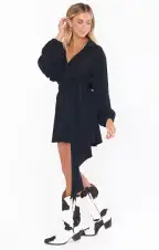 Chloe Collared Dress ~ Black Slinky Stretch(XS)