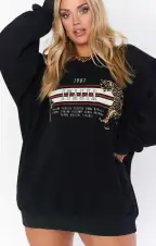 Stanley Sweatshirt ~ Tiger Graphic(XS)