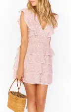 Sweet Ruffle Mini Dress ~ Little Rose Floral(XS)