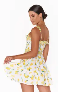 Jolene Mini Dress ~ Limoncello Embroidery(XS)