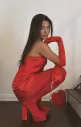 Taylor Tube Mini Dress ~ Red Luxe Satin(XS)