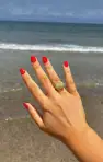Faithy Jewels Sophie Shell Ring ~ Gold(OS)