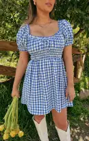 Esme Mini Dress ~ Blue Bounty Gingham(XS)