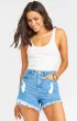 Houston High Waisted Shorts ~ Tide(24)