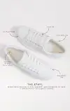 Sam Edelman Ethyl Sneaker ~ White(6)