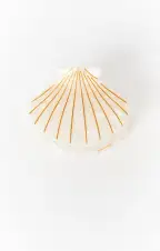 Mini Shell Claw Hair Clip ~ Pearly White(OS)