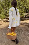 Go To Sweater ~ Lemon Sorbet Knit(XS)