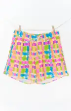 Man Mu Trunks ~ Beach Picnic