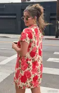 Dexter Button Sweater Dress ~ Tan Hillside Floral(XS)