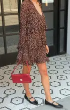 Fleetwood Mini Dress ~ Leopard Latte
