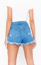 Houston High Waisted Shorts ~ Tide(24)