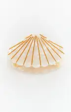 Shell Claw Hair Clip ~ Pearly White